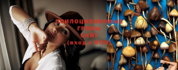 стаф Верея