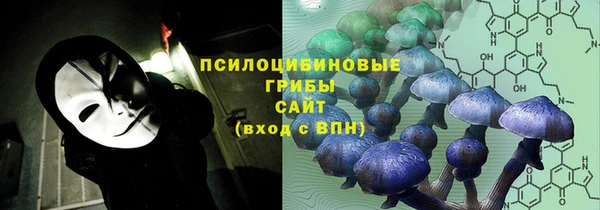 стаф Верея