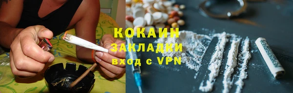 стаф Верея