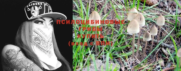 стаф Верея