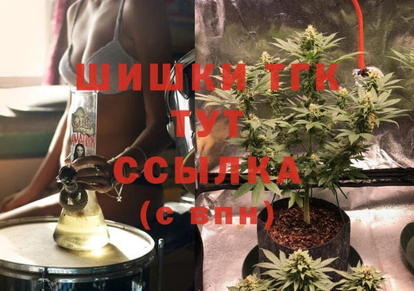 стаф Верея